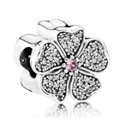 10PCS Promotion AAA GRADE S925 ALE Sterling Silver Charms