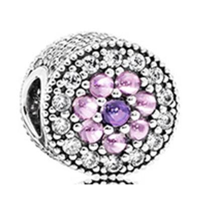 10PCS Promotion AAA GRADE S925 ALE Sterling Silver Charms