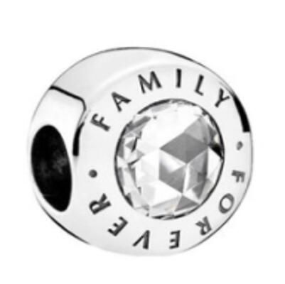 10PCS Promotion AAA GRADE S925 ALE Sterling Silver Charms