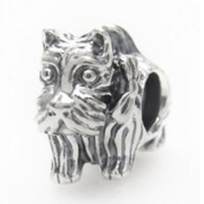 10PCS Promotion AAA GRADE S925 ALE Sterling Silver Charms