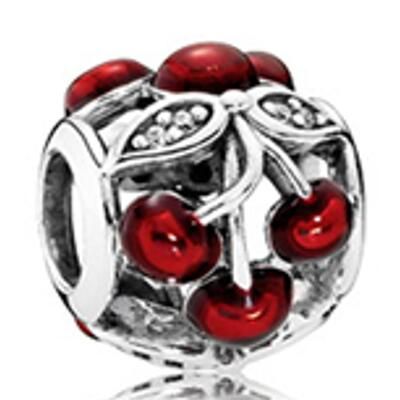 10PCS Promotion AAA GRADE S925 ALE Sterling Silver Charms