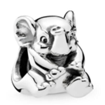 10PCS Promotion AAA GRADE S925 ALE Sterling Silver Charms
