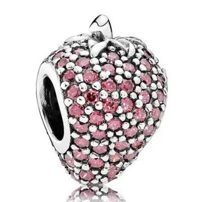 10PCS Promotion AAA GRADE S925 ALE Sterling Silver Charms