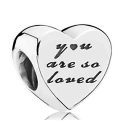 10PCS Promotion AAA GRADE S925 ALE Sterling Silver Charms