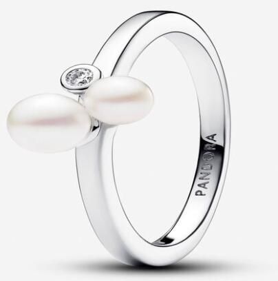  Promotion 1:1 COPY S925 ALE Sterling Silver Rings