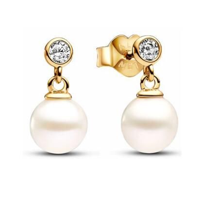 Promotion  1:1 COPY S925 ALE Sterling Silver Earrings