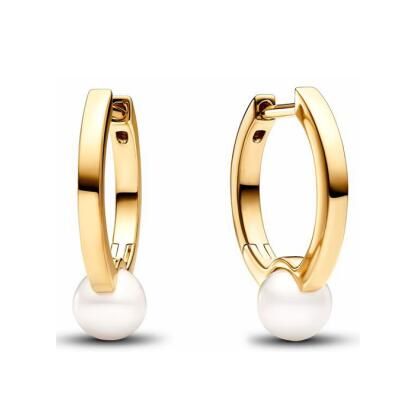 Promotion  1:1 COPY S925 ALE Sterling Silver Earrings