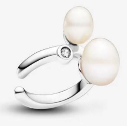 Promotion  1:1 COPY S925 ALE Sterling Silver Earrings