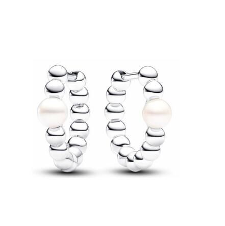 Promotion  1:1 COPY S925 ALE Sterling Silver Earrings