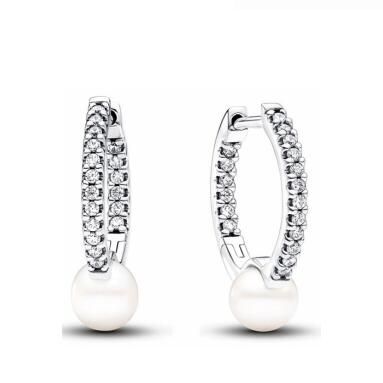 Promotion  1:1 COPY S925 ALE Sterling Silver Earrings