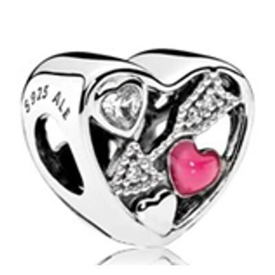 10PCS Promotion AAA GRADE S925 ALE Sterling Silver Charms