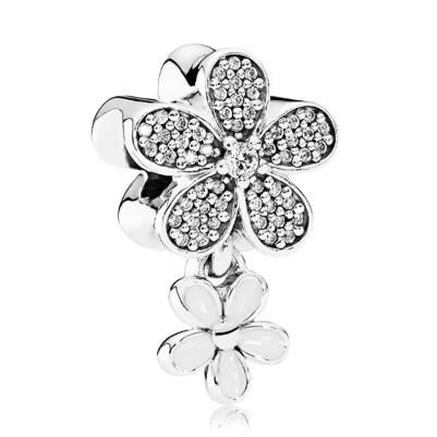 10PCS Promotion AAA GRADE S925 ALE Sterling Silver Charms