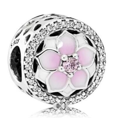 10PCS Promotion AAA GRADE S925 ALE Sterling Silver Charms