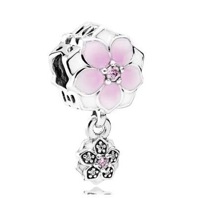 10PCS Promotion AAA GRADE S925 ALE Sterling Silver Charms