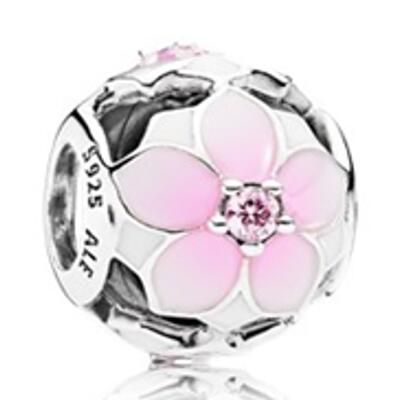 10PCS Promotion AAA GRADE S925 ALE Sterling Silver Charms