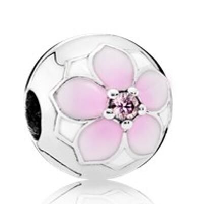 10PCS Promotion AAA GRADE S925 ALE Sterling Silver Charms