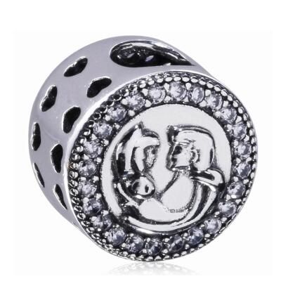 10PCS Promotion AAA GRADE S925 ALE Sterling Silver Charms