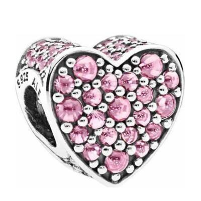 10PCS Promotion AAA GRADE S925 ALE Sterling Silver Charms