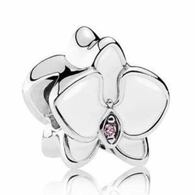 10PCS Promotion AAA GRADE S925 ALE Sterling Silver Charms