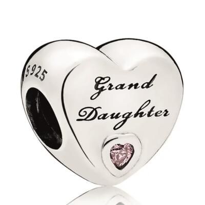 10PCS Promotion AAA GRADE S925 ALE Sterling Silver Charms