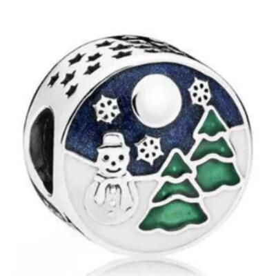10PCS Promotion AAA GRADE S925 ALE Sterling Silver Charms