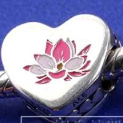 10PCS Promotion AAA GRADE S925 ALE Sterling Silver Charms