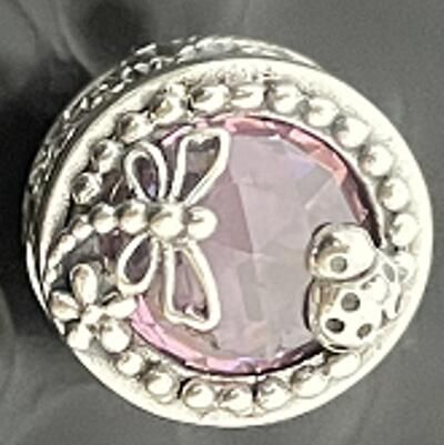 10PCS Promotion AAA GRADE S925 ALE Sterling Silver Charms