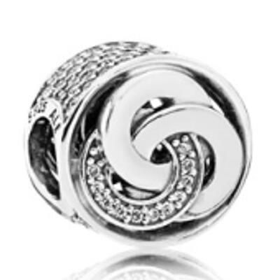 10PCS Promotion AAA GRADE S925 ALE Sterling Silver Charms