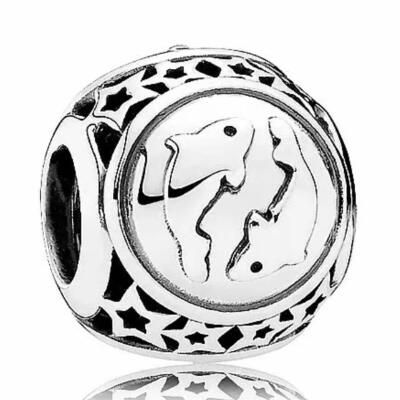 10PCS Promotion AAA GRADE S925 ALE Sterling Silver Charms