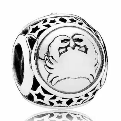 10PCS Promotion AAA GRADE S925 ALE Sterling Silver Charms