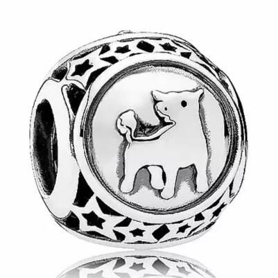 10PCS Promotion AAA GRADE S925 ALE Sterling Silver Charms