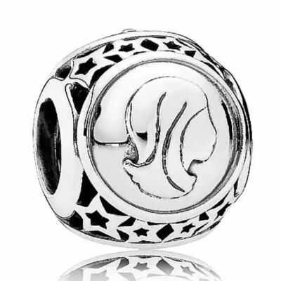 10PCS Promotion AAA GRADE S925 ALE Sterling Silver Charms