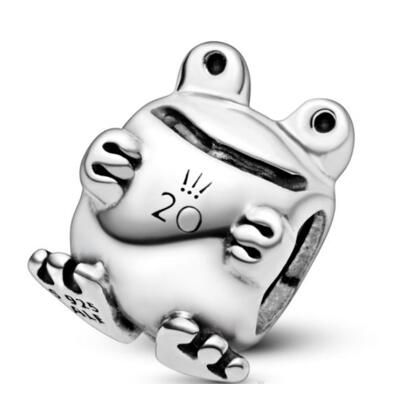 10PCS Promotion AAA GRADE S925 ALE Sterling Silver Charms
