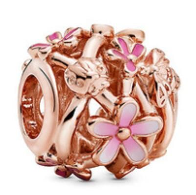 10PCS Promotion AAA GRADE S925 ALE Sterling Silver Charms