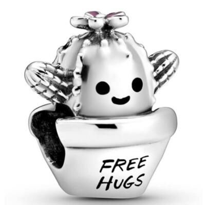10PCS Promotion AAA GRADE S925 ALE Sterling Silver Charms