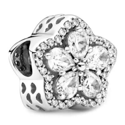 10PCS Promotion AAA GRADE S925 ALE Sterling Silver Charms