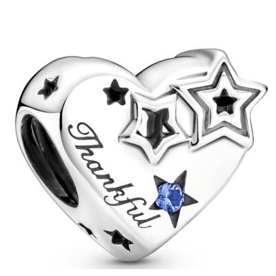 10PCS Promotion AAA GRADE S925 ALE Sterling Silver Charms