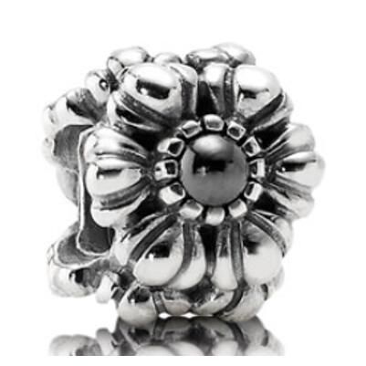 10PCS Promotion AAA GRADE S925 ALE Sterling Silver Charms