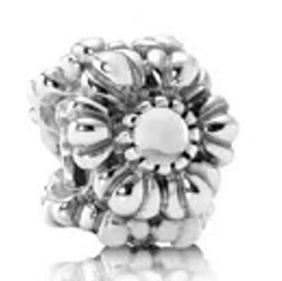 10PCS Promotion AAA GRADE S925 ALE Sterling Silver Charms