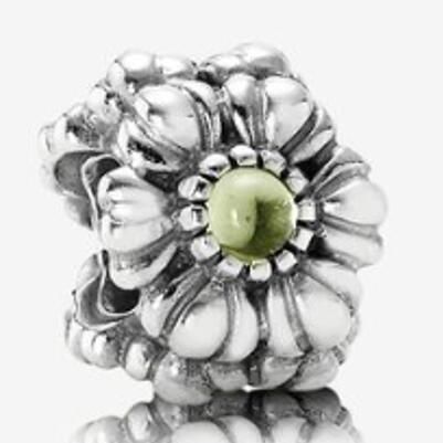 10PCS Promotion AAA GRADE S925 ALE Sterling Silver Charms