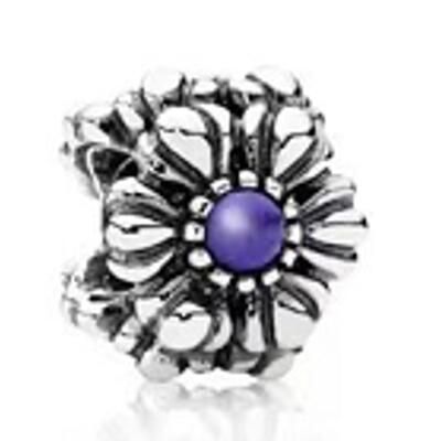 10PCS Promotion AAA GRADE S925 ALE Sterling Silver Charms