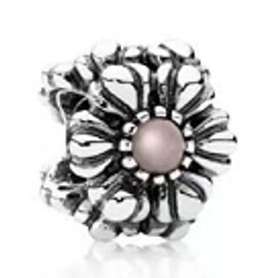 10PCS Promotion AAA GRADE S925 ALE Sterling Silver Charms