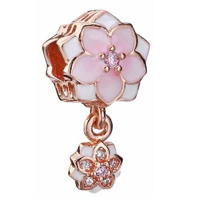 10PCS Promotion AAA GRADE S925 ALE Sterling Silver Charms