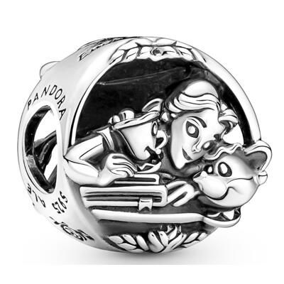 10PCS Promotion AAA GRADE S925 ALE Sterling Silver Charms