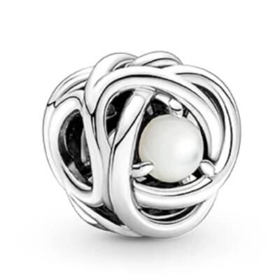 10PCS Promotion AAA GRADE S925 ALE Sterling Silver Charms