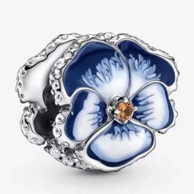10PCS Promotion AAA GRADE S925 ALE Sterling Silver Charms