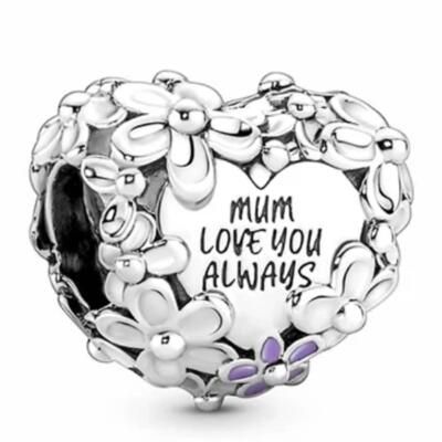 10PCS Promotion AAA GRADE S925 ALE Sterling Silver Charms