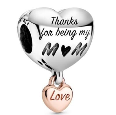 10PCS Promotion AAA GRADE S925 ALE Sterling Silver Charms