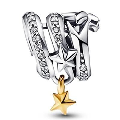 10PCS Promotion AAA GRADE S925 ALE Sterling Silver Charms