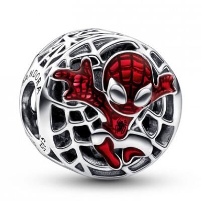 10PCS Promotion AAA GRADE S925 ALE Sterling Silver Charms